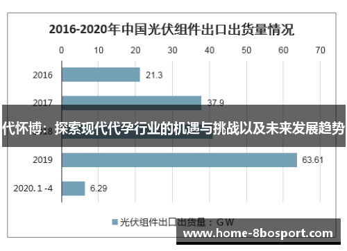 代怀博：探索现代代孕行业的机遇与挑战以及未来发展趋势